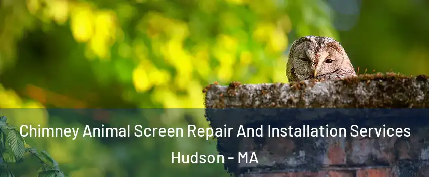  Chimney Animal Screen Repair And Installation Services Hudson - MA