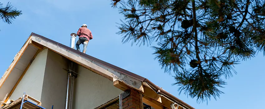 Birds Removal Contractors from Chimney in Hudson, MA