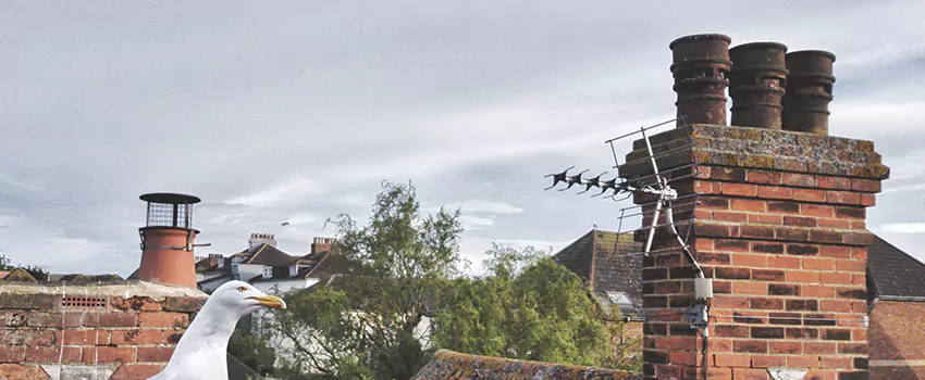 Chimney Cleaning And Restoration in Hudson, Massachusetts
