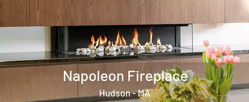  Napoleon Fireplace Hudson - MA