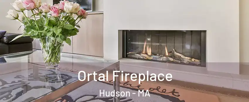 Ortal Fireplace Hudson - MA